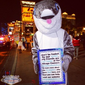 Meet our mascot, Banjo, one of the original Mojave Dolphins.